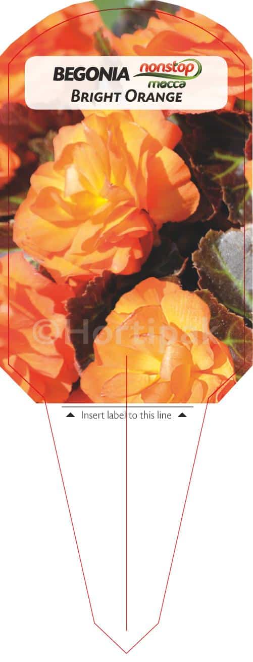 5 Powerful Strategies to Quit Porn