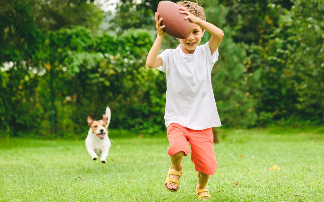 Clover Lawn Seed Online Clover Lawn Clover Grass Seed Js11 Jubilee Seeds Uk