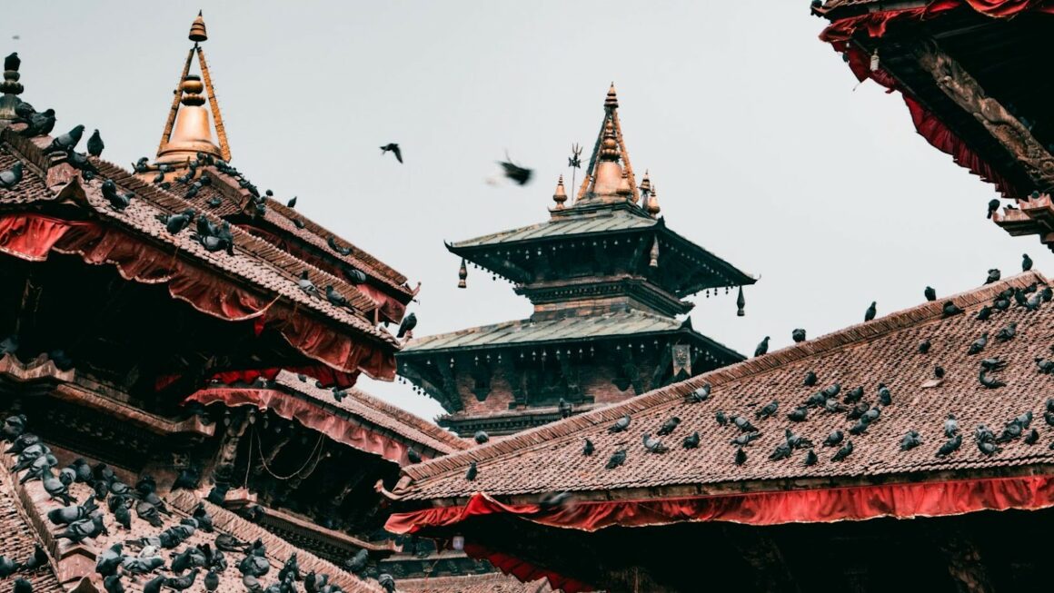 Crazyjamjam The Ultimate Guide To Understanding The Phenomenon