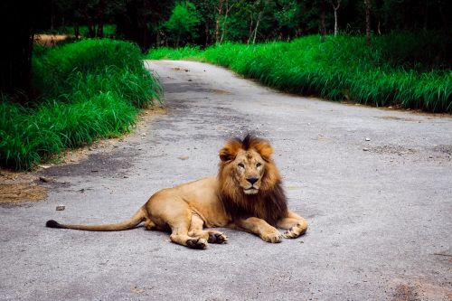 Eight 8 Number Design Collection Free Image From Needpix Com Eight 8 Number Design Collection Free Image From Needpix Com