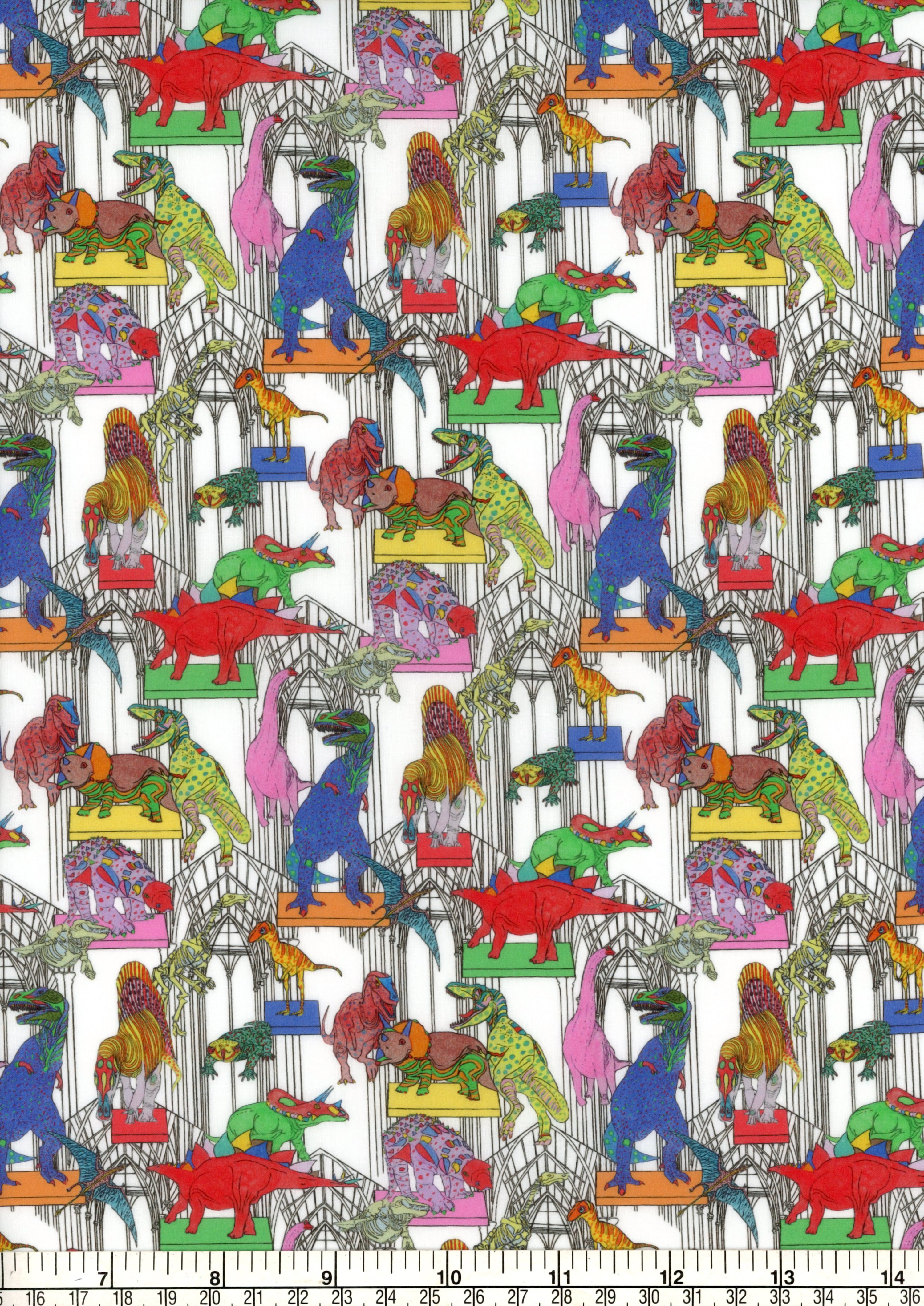 Learn More About Felines Teeth Claws Roars Strength And Balance Learn More About Felines Teeth Claws Roars Strength And Balance