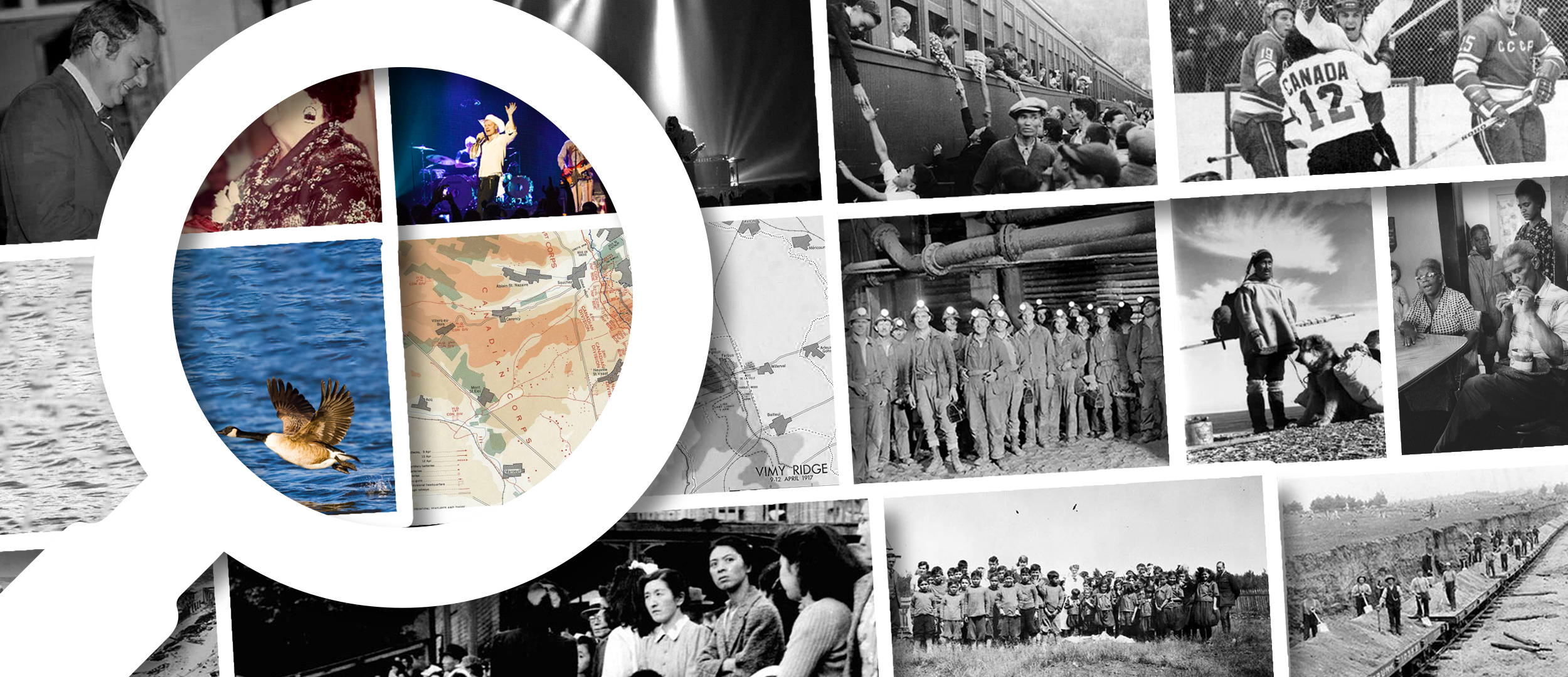 Squid The Canadian Encyclopedia